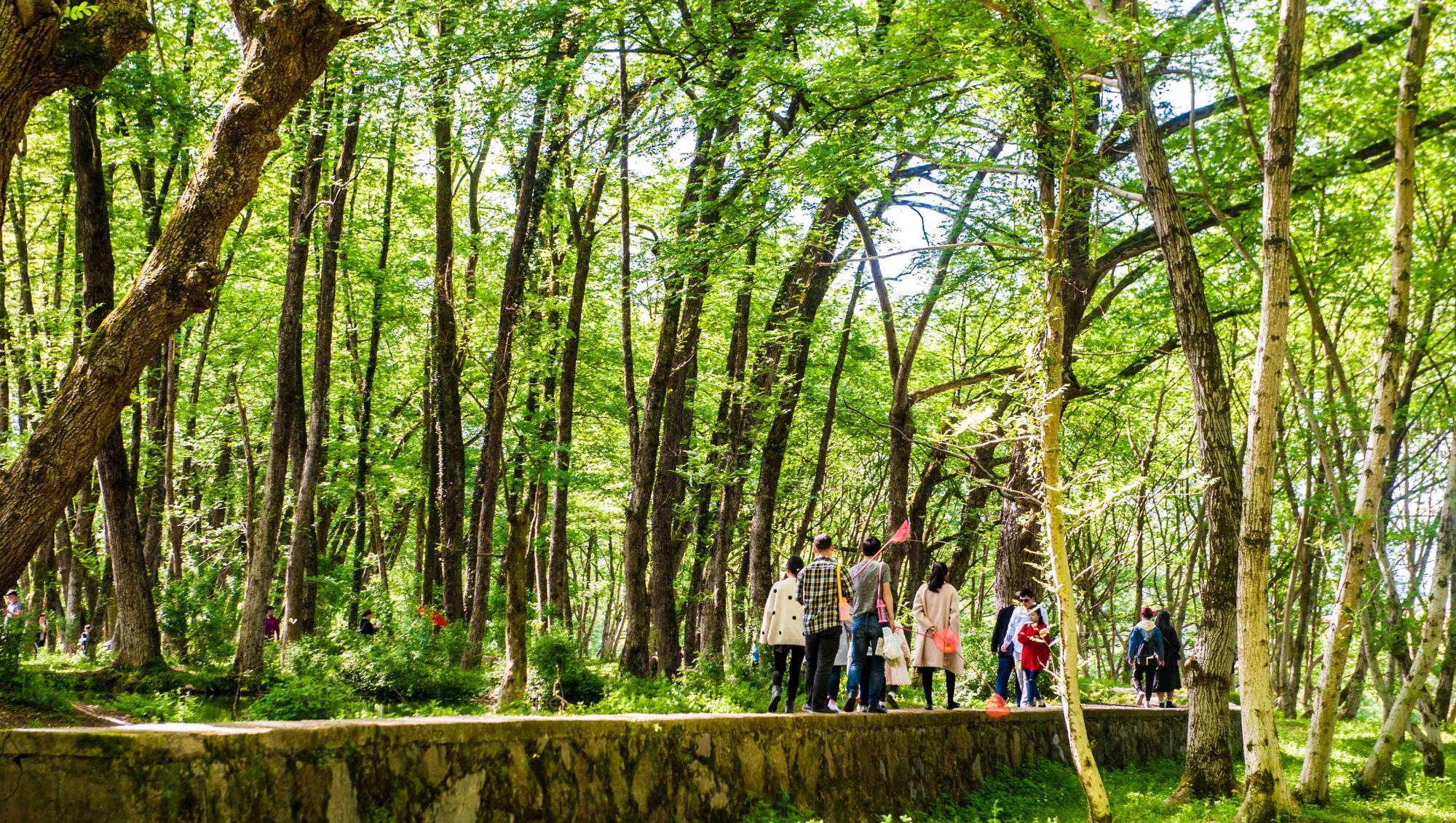奶球妈咪聊|安徽的世外桃源,被誉为现实版绿野仙踪,是一片无污染的绝美净土