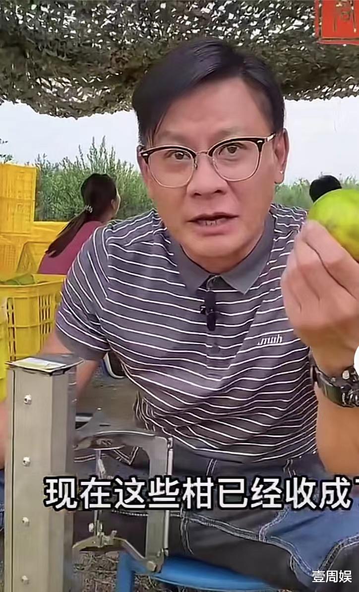 三十而已|TVB真是留不住人，51岁林敬刚转行卖水果，曾给万梓良下跪拜师！