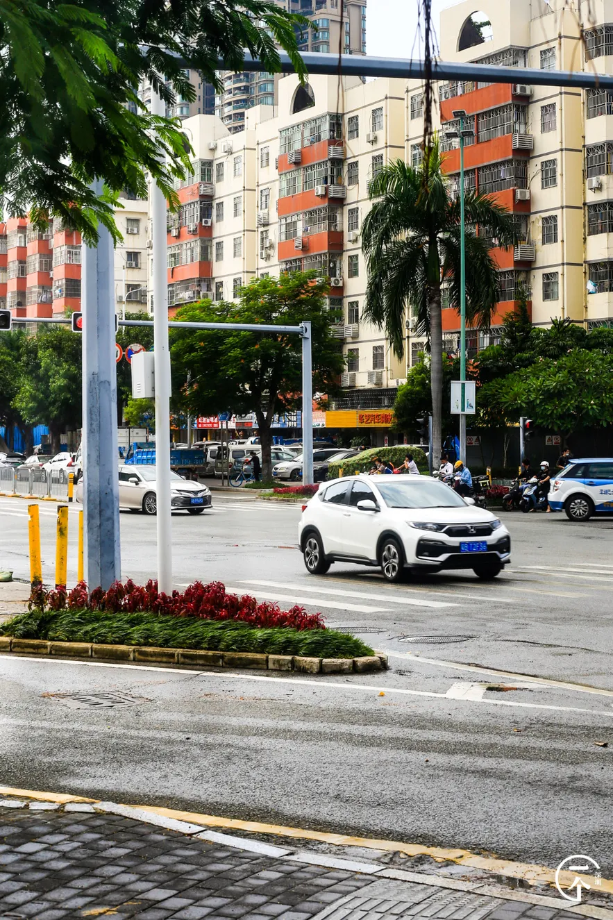 深圳市|深圳妹子勇闯洪浪北租房市场，被中介痛骂！