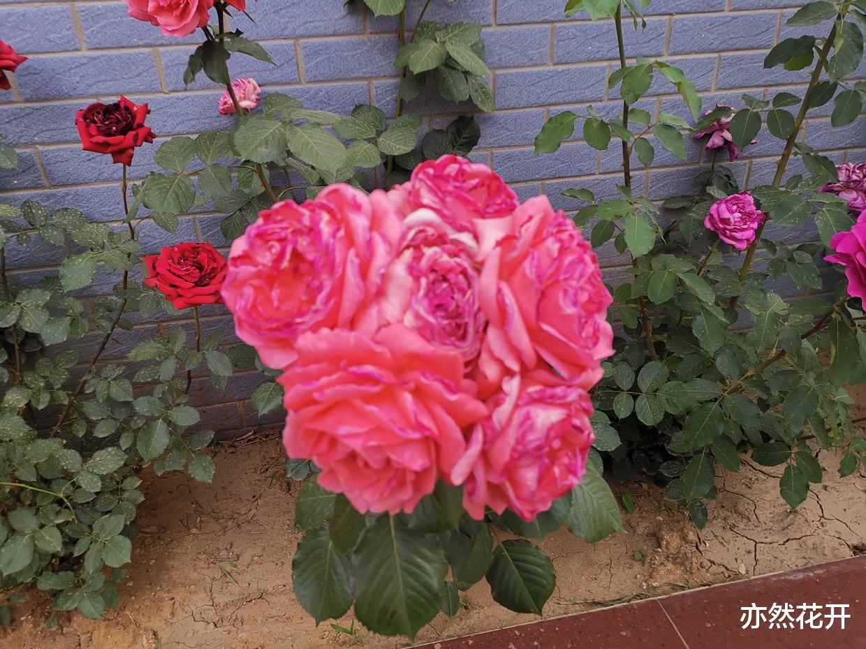 |学习一本书的结构,清晰有效地传递信息