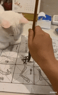 时尚炫点|抽了半个小时烟,还是想不通她为什么要跟我分手