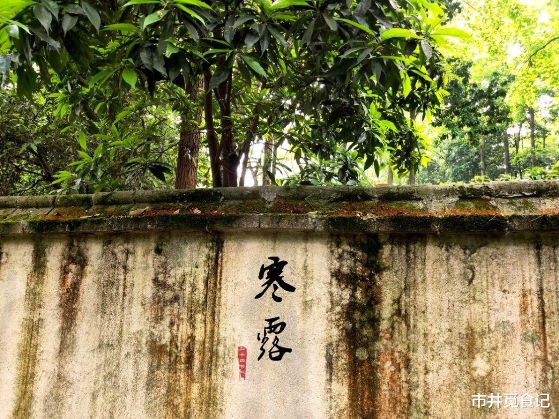 山药|寒露时节，有条件多吃“地下6宝”，缓解寒气从脚起，安稳过冷天
