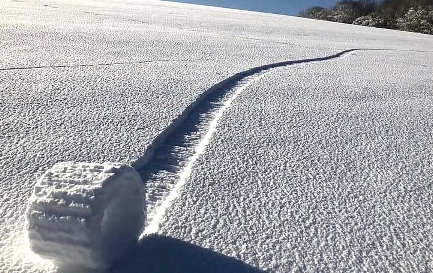 30张“冷知识”图片,看完大开眼界