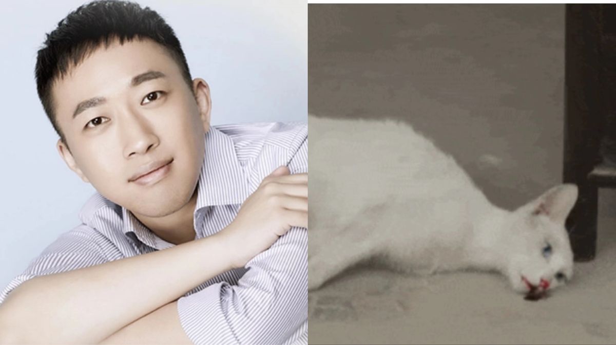 于正|于正拍戏疑5次虐杀动物！猫狗鸟均已死亡，导演乔乔怒斥：不是人