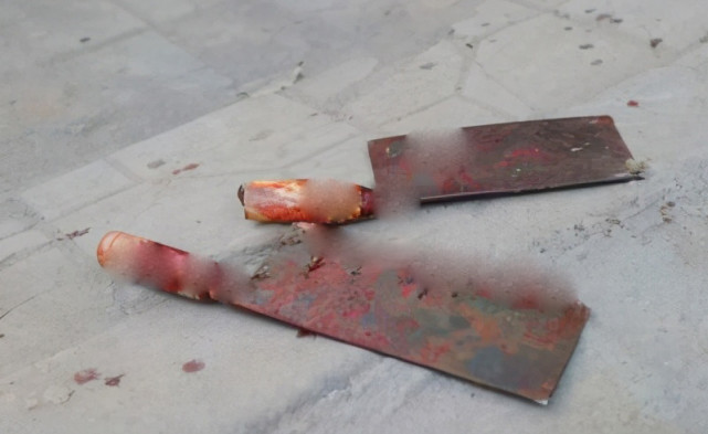 热点微评社 绝望!蠡县一家5口“惨遭杀害”:凶手疑有精神疾病!