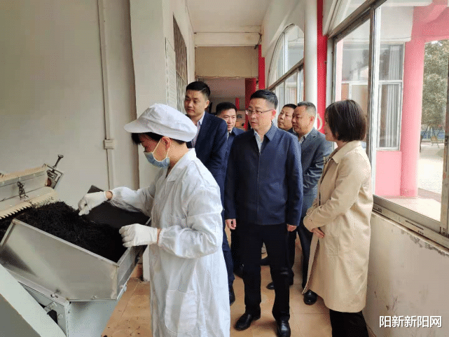 阳新新阳网 阳新新闻：王建华在三溪、王英调研乡村振兴、安全生产工作