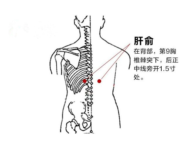 肝脏|女人肝好,手有4个标志!