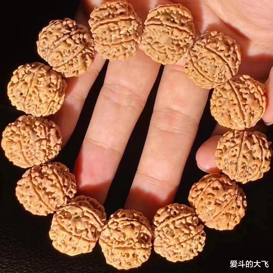 文玩|尼泊尔七瓣大金刚手串，文玩界奇葩的存在