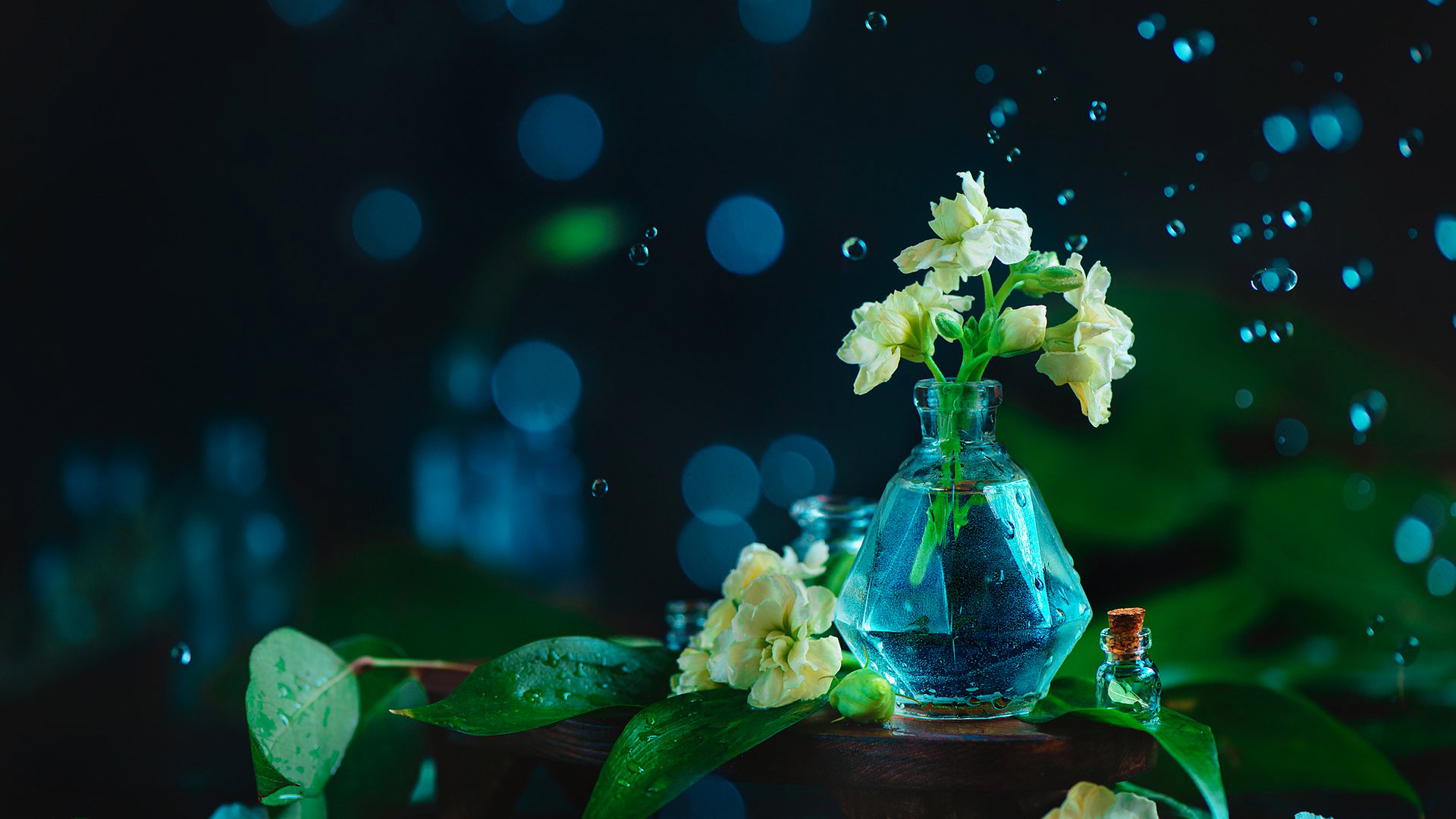 叶子星语|这些星座明明很专情，却装作花心，错过爱情之后，他们才幡然醒悟