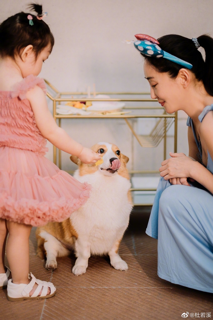 严屹宽|严屹宽那么帅，为什么不火？他与老婆，男神与迷妹之间的浪漫相遇