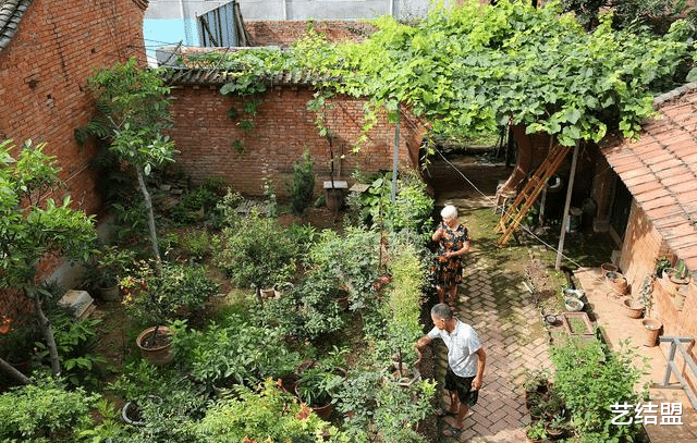退休|住在这样的农家小院，是退休后的一种理想选择吗？