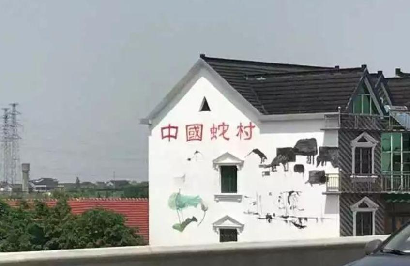 20000条毒蛇“独占”我国渤海小岛,放2只蜜獾上去,谁最吃亏?