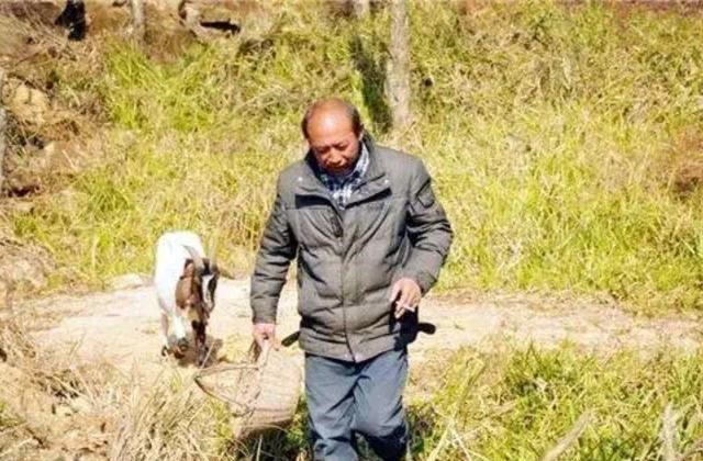 炳哥私厨 男子隐居深山创业，5年造1万米围栏“圈地”养羊，如今是赚是赔？