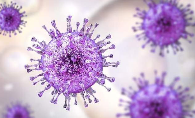 意大利 意大利专家研究发现：人类与新冠病毒无法共存