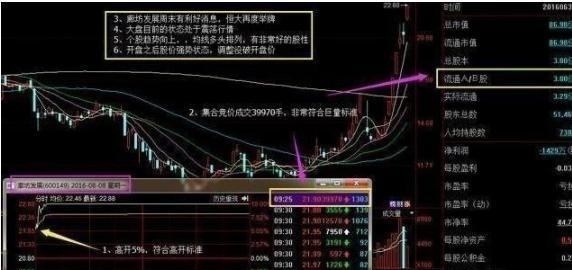 蚂蚁金服 中国股市：集合竞价都搞不懂，还想跟庄吃肉？看完瞬间清醒，绝了