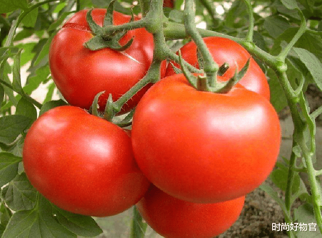 肝硬化|女人衰老“4丑态”，若中标，建议多吃4物+1运动，或能有效抗衰老