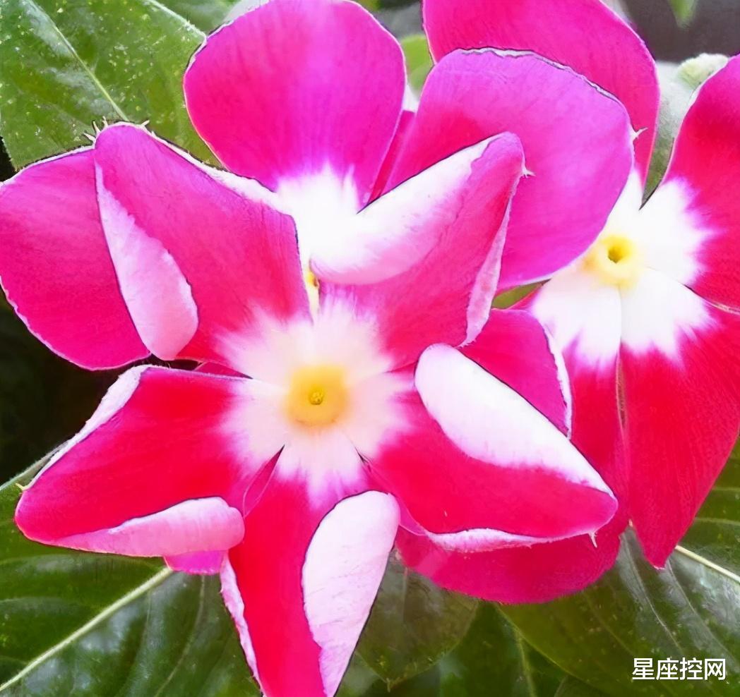 刮目相看|哪几天出生的人,很少为钱烦恼,日子平安喜乐,从小到老都是如此