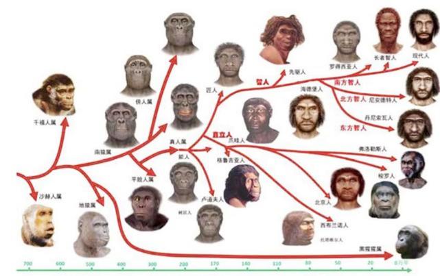|真实存在的蓝种人，隐居6000米高山上，百年仅露了一次面