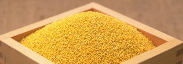 红薯|红薯和此物一起煮粥，排出湿气养护身体，你知道吗