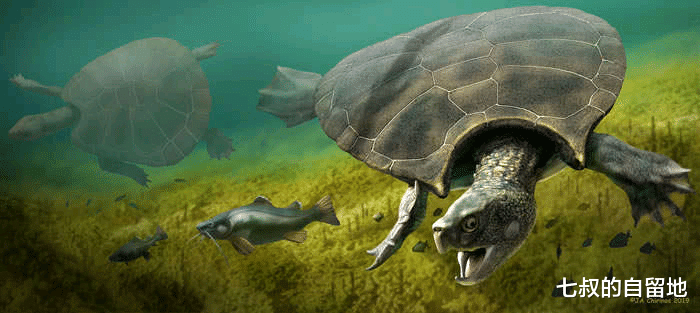  世界上的蛇到底有多大？5800万年前的泰坦巨蟒是否仍然存在？