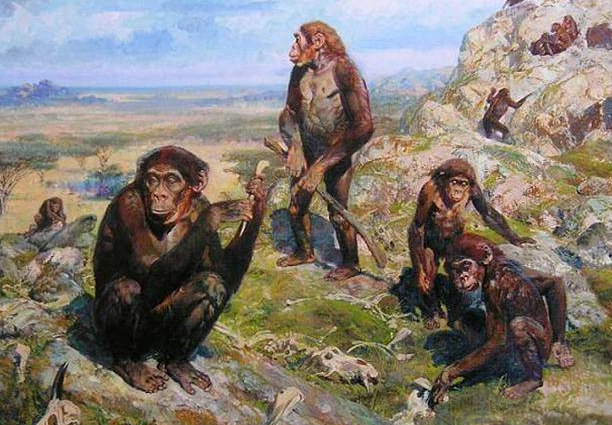 恐龙|牙齿化石表明现代人类更早进入东南亚