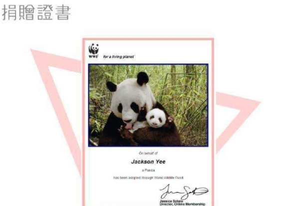 杨幂|这才是追星的意义吧？