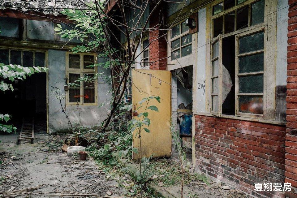 古天乐|古天乐捐建的小学被荒废，到处长满杂草，无人收拾打理