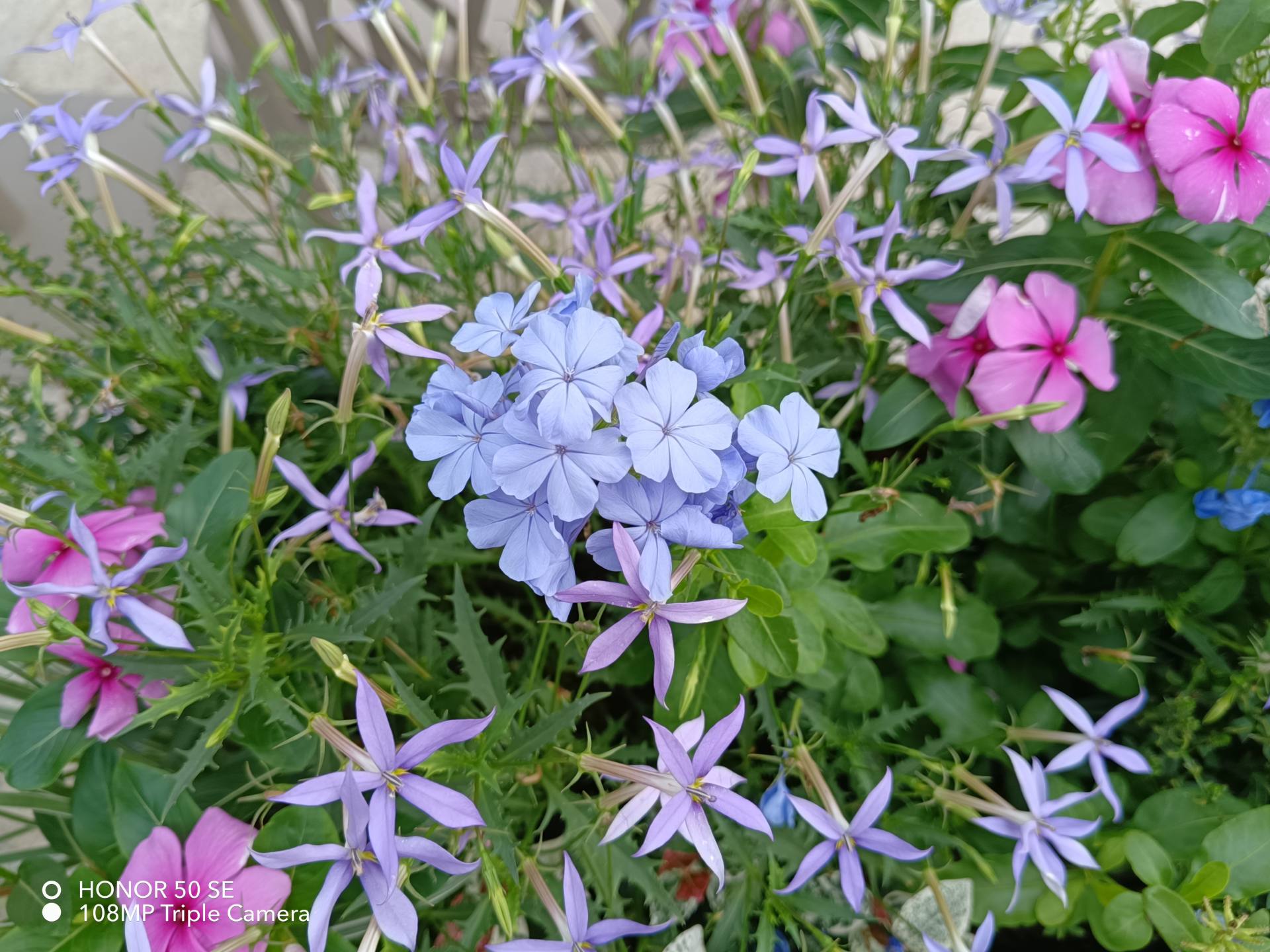 華為榮耀|榮耀歸來誠意之作！榮耀50SE測評：邊框最窄直屏手機，真香