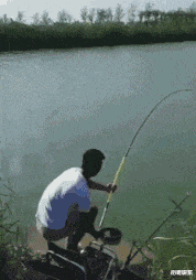 江西|“游泳的时候从水里捞的，不是蝌蚪，它到底是什么？”哈哈哈哈