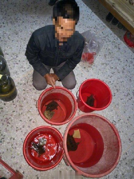 广东一男子泡鹰蛇酒被刑拘