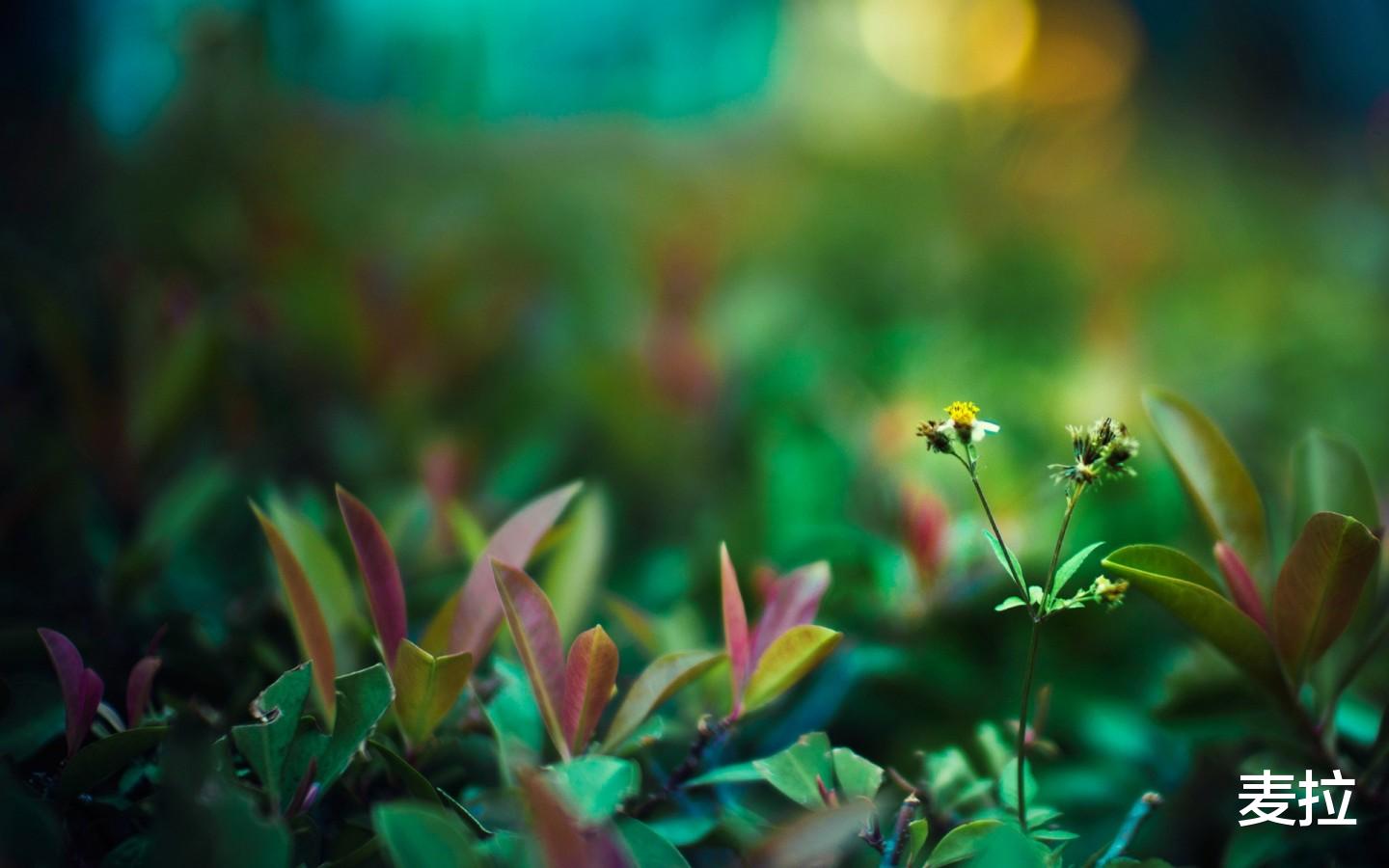 |没什么能阻碍你做想做的事，如果有也只有你自己