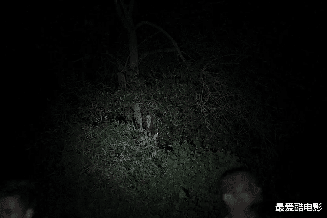 |韩泰两国顶级恐怖片导演联手，既有泰式的邪性，也有韩式的反转