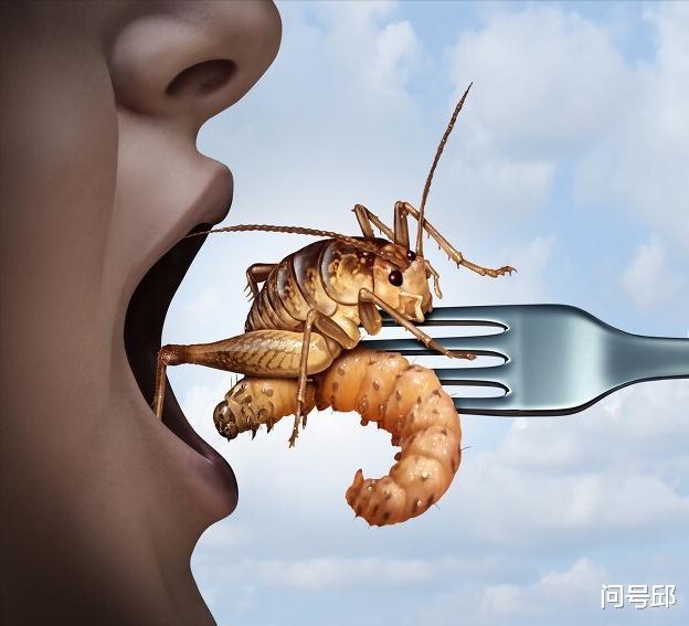 昆虫 人类对昆虫另类癖好：既把它当成害虫，又把它当成美食