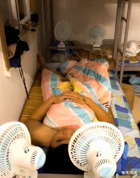 基因|“白化病的棕熊，每次被动保组织发现，都会送到北极！”