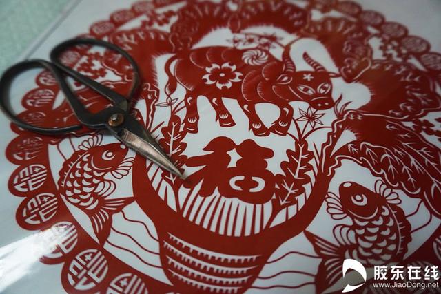 膠東在線 這些“牛”，大有來頭