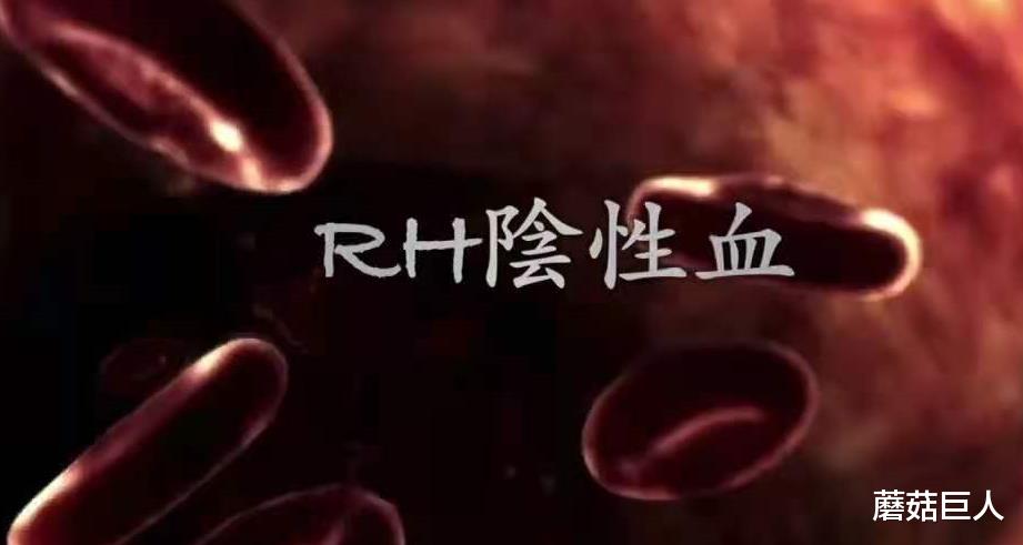 蘑菇巨人|3万年前的星空遗民,外星种族放在地球的小白鼠,你是其中之一吗?