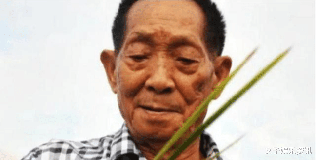 刘亦菲|明星悼念袁隆平引争议，刘亦菲被质疑工作人员代发，被骂太过敷衍