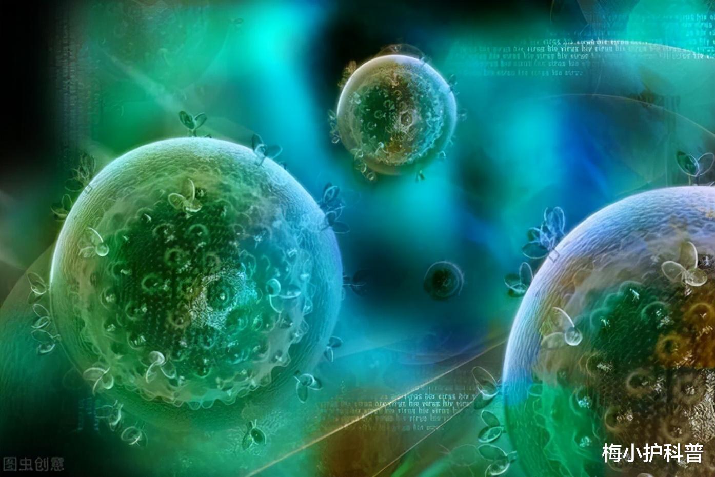 梅小护科普 滴血、针扎，是时候谈谈那些关于传播艾滋病的流言了