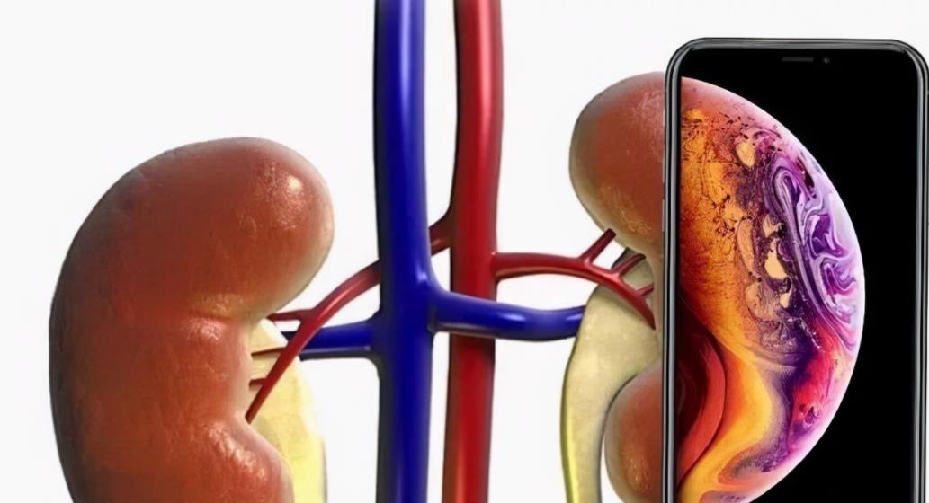 iphone4|2011年，17岁少年卖肾买苹果手机，如今10年过去，生活过得却很惨