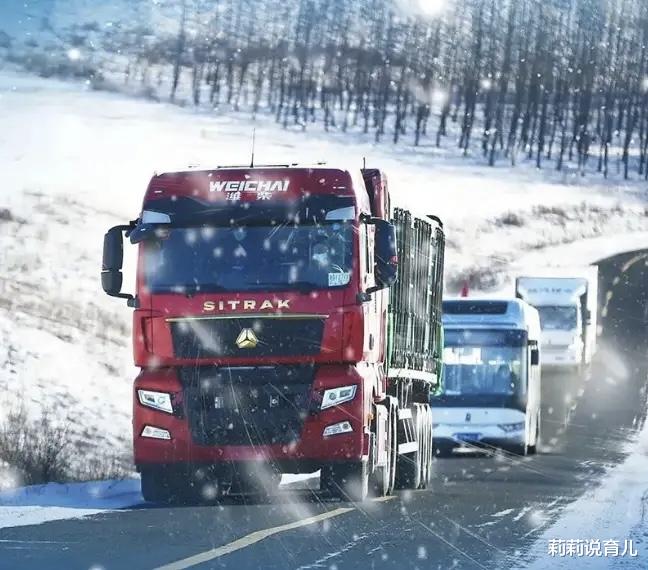 莉莉说育儿|中国的全球科技大采购模式?从潍柴氢燃料电池汽车谈起