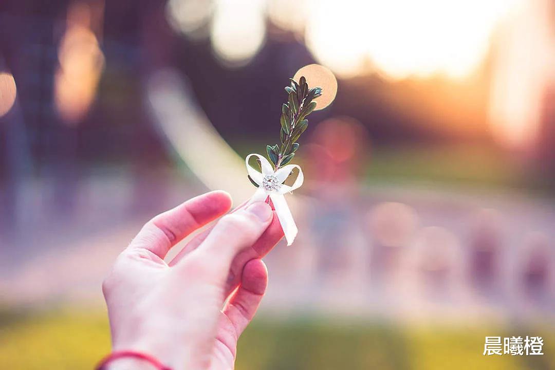 晨曦橙|战火中的爱情|那个敢出巨额彩礼娶你的穷小子,就嫁了吧!