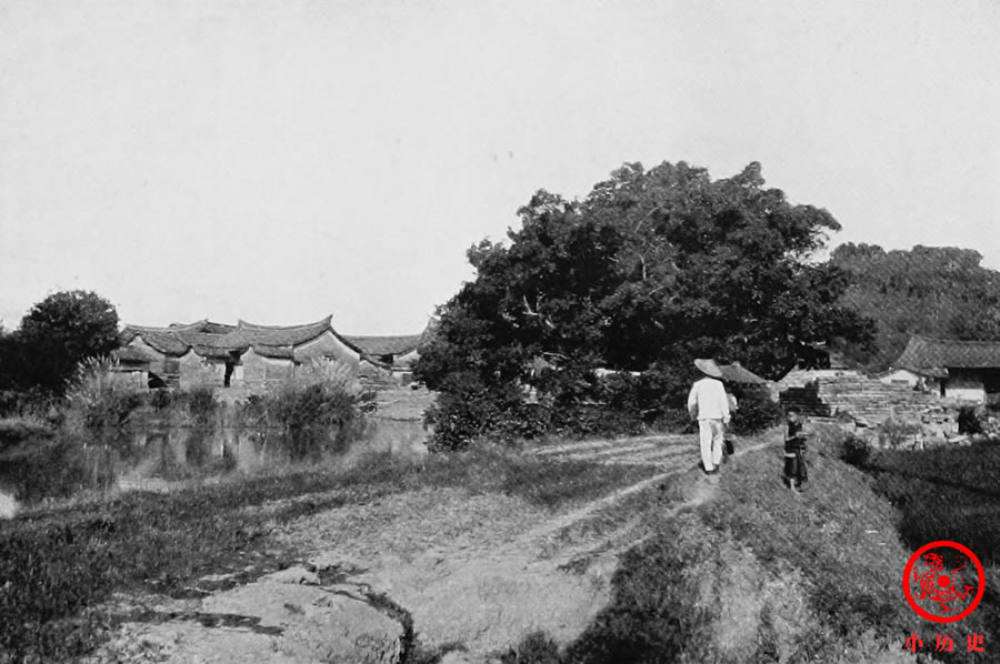 老虎|罕见老照片：清末福建虎多成灾，实拍猎人进山抓老虎