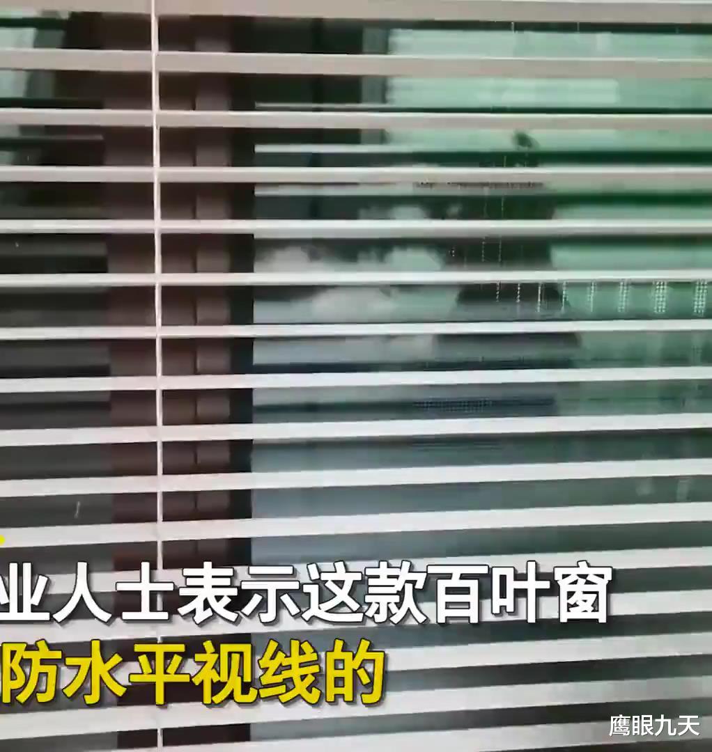 卫生间百叶窗形同虚设,女子无意间发现傻眼,自己每天都在直播?