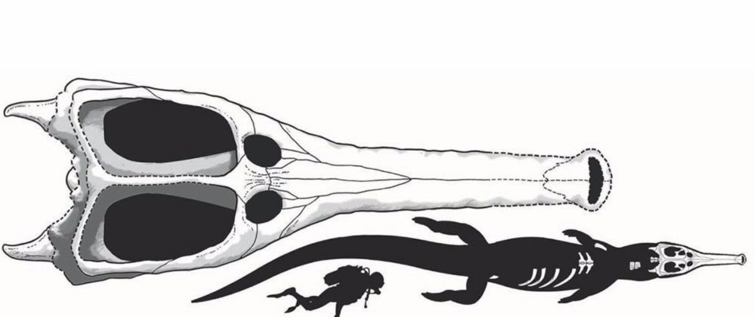 霍金 鳄鱼家族太倒霉！两亿年来，次次都在马上要称霸地球时被“针对”