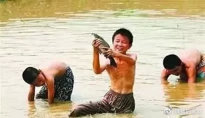 嗨猪的家庭|看完这组30年前的暑假偷拍照,我悄悄换掉了儿子的假期计划表