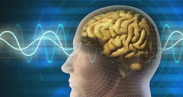 太空 人脑由粒子构成，粒子遵循物理定律，意识是被决定还是自由的？