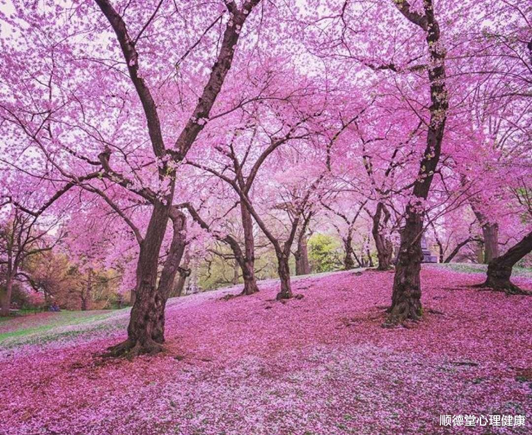 顺德堂心理健康|抑郁：抑郁三年，吃抗抑郁药也有无助感，体会不到情感，怎么办？