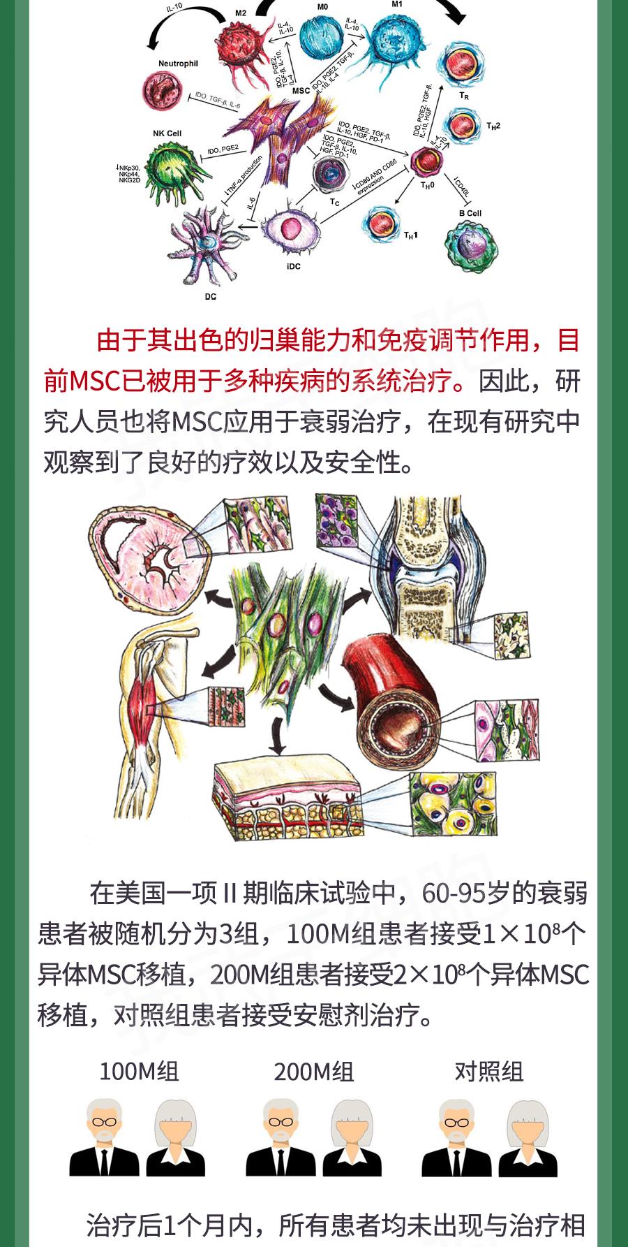 午美聊健康体态 干细胞为衰弱患者带来高质量生活