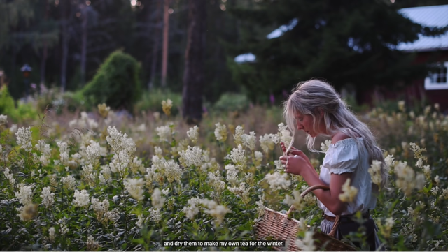 李子柒|李子柒断更5个月后，隐居11年的北欧仙女火了！引500万粉丝围观