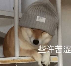 桉月|表情包：可爱萌宠的表情